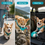 Petvora™ — Hydrate Your Pup Instantly, Anywhere You Go