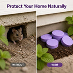 BugFort™ — Enjoy a Safe, Pest-Free Home Without Toxins or Traps