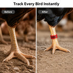 FlockMark™ — Take Full Control and See Every Bird Clearly in Seconds