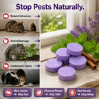 BugFort™ — Enjoy a Safe, Pest-Free Home Without Toxins or Traps
